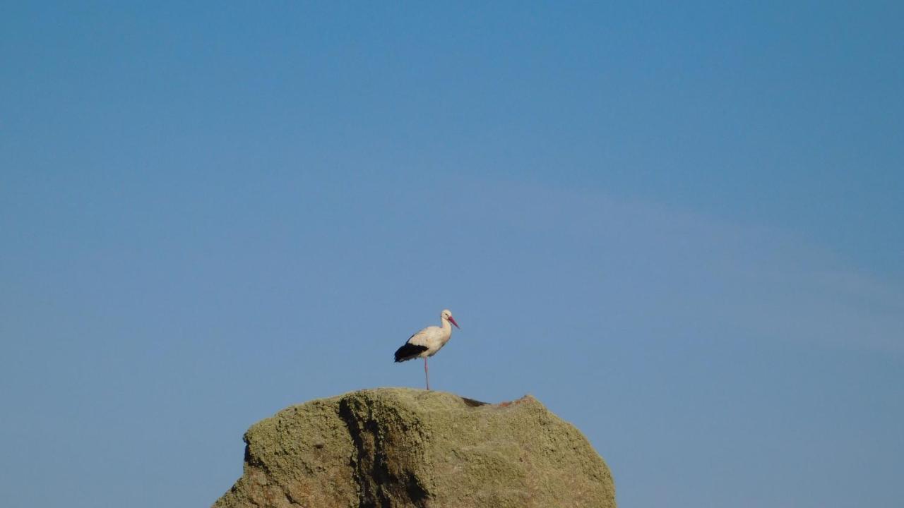 La Silla De La Reina Vila Navarredonda de Gredos Exterior foto